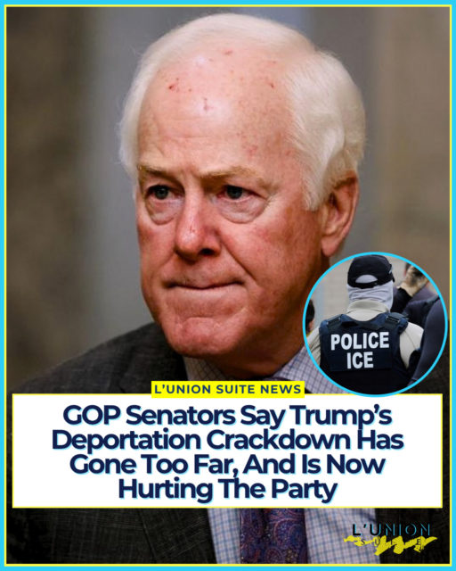 Republican senators are warning that President Trump has fumbled immigration, an issue that helped GOP candidates in 2024 and is now becoming a political liability as the party defends its Senate majority.⁠
⁠
Several GOP senators told The Hill that the administration’s mass-deportation campaign has been too aggressive, overshadowing what they describe as a major border-security win: illegal crossings down more than 90 percent since former President Biden left office. They say the enforcement is costing Republicans support among suburban and Hispanic voters weeks before the midterms.⁠
⁠
“Once you start deporting people who have otherwise been here without incident for 15, 20 years, that’s a gray zone that I think where you find a lot of division of opinion,” Sen. John Cornyn (R-Texas) said. “I always thought that this idea of mass deportations sent the wrong message.”⁠
⁠
Cornyn pointed to a campaign ad from Rep. María Elvira Salazar (R-Fla.), who told the president that some enforcement “has gone too far” and that Hispanic voters who helped elect him in 2024 “feel betrayed.” ⁠
⁠
Sen. Mike Rounds (R-S.D.), who is running for reelection, said most Americans want Immigration and Customs Enforcement focused on people who have committed crimes beyond unlawful presence.⁠
⁠
“Most Americans are saying we are a nation of laws, but with as many people here illegally as we’ve got, let’s make darn sure that our focus is on getting those individuals that have violated our laws with regard to other things other than being here illegally,” Rounds said. He urged the administration to ease off people who “are here and that have a court determination that [says] they can be here,” and to “refocus on those individuals that are actually causing harm within society today.”⁠
⁠
Sen. Thom Tillis (R-N.C.) was blunter. “I would rather have 100 illegally present people go free than have that innocent person caught,” he said. Of sweeps that have swept up citizens and green-card holders.⁠
⁠
⁠
#lunionsuite #haitianamerican