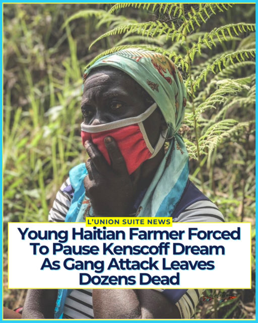 In a heartfelt message that captures both ambition and heartbreak, young Haitian content creator and farmer Stefano Ditalie announced he is closing his farm in Kenscoff, a project he built to prove that hard work and determination can still yield success in #Haiti. 🙏🏾💔
“I wanted to prove to you that in Haiti, a young person could still dream, work hard, and build something great,” he wrote. “I wanted to show you our fields, our harvests, our animals, our efforts… and above all, show you that we could succeed despite the odds.”
That dream has been put on hold.
“But today, I have to share news I never wanted to write… We are closing our farm in Kenscoff. I don’t even know for how long,” he said. “The most painful part isn’t just closing a farm. It’s seeing years of hard work, sacrifice, and dreams come to a halt because of a situation we didn’t choose.”
The announcement comes in the wake of a brutal overnight attack on Kenscoff. Late Sunday into early Monday, members of the Viv Ansanm gang coalition stormed the hillside farming community above Port-au-Prince. Officials and rights groups report at least 30 to 40 people killed, with homes and vehicles set on fire. Attackers targeted a church sheltering displaced residents, entered homes, and left survivors searching for missing loved ones amid the chaos.
Kenscoff Mayor Jean Massillon described the assault as one that “sowed chaos.” The government has condemned the attack and said reinforcements are being deployed, stating “Kenscoff will not be abandoned.”
For @_Ste_phane, the farm represented more than crops and livestock. It was a living counter-narrative, a place to demonstrate that young #Haitians could still plant, harvest, and build in their own country.
“I thought ‘Viv Ansanm’ was meant to bring us closer, unite us, and allow us to build together,” he wrote. “Today, it hurts to see the extent to which this division can destroy us. I wanted to share a success story with you. Instead, I find myself announcing a story of departure.”
The farm’s closure is one more visible cost of the insecurity that has repeatedly struck Kenscoff.
#lunionsuite