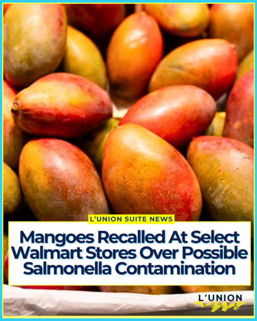 From White Rice To Mangoes! 😩🥭
Panorama Produce of Mamaroneck, New York, is recalling 302 boxes of Martina-brand mangoes sold at select Walmart stores after U.S. Food and Drug Administration sampling detected Salmonella on fruit grown on the same farm in Mexico.
The mangoes that tested positive never entered U.S. commerce. The company issued the voluntary recall because the fruit that reached stores came from that same source. The recall was announced August 28 and posted by the FDA on August 29. No illnesses have been reported in connection with the product, and the recall has not been expanded.
The recalled mangoes were distributed and sold between August 10 and August 21, 2026, in four Northeastern states: Connecticut, New York, New Jersey, and Pennsylvania. They were sold only at select Walmart locations in those states. Shoppers who bought mangoes at Walmart in those four states during that window should check their kitchens now. Fruit purchased in mid-August may still be sitting on a counter or in a refrigerator.
The fruit shipped in Martina-branded cases. Individual mangoes can be identified by a light blue sticker labeled Agrofepac, Produce of Mexico, PLU number 4584, and UPC 07503061948050. The mangoes are size 9.
If the identifiers match, do not eat the mangoes. Throw them away or return them to the store where they were purchased. Wash hands, cutting boards, knives, and any surfaces that came into contact with the fruit.
Salmonella can cause fever, diarrhea that may be bloody, nausea, vomiting, and abdominal pain. Healthy people usually recover. Young children, older adults, and people with weakened immune systems face a higher risk of serious or life-threatening infection. In rare cases the bacteria can enter the bloodstream and cause arterial infections, endocarditis, or arthritis.
Symptoms typically begin six hours to six days after exposure. Anyone who ate the fruit and feels ill should contact a healthcare provider.
#lunionsuite #haitianamerican