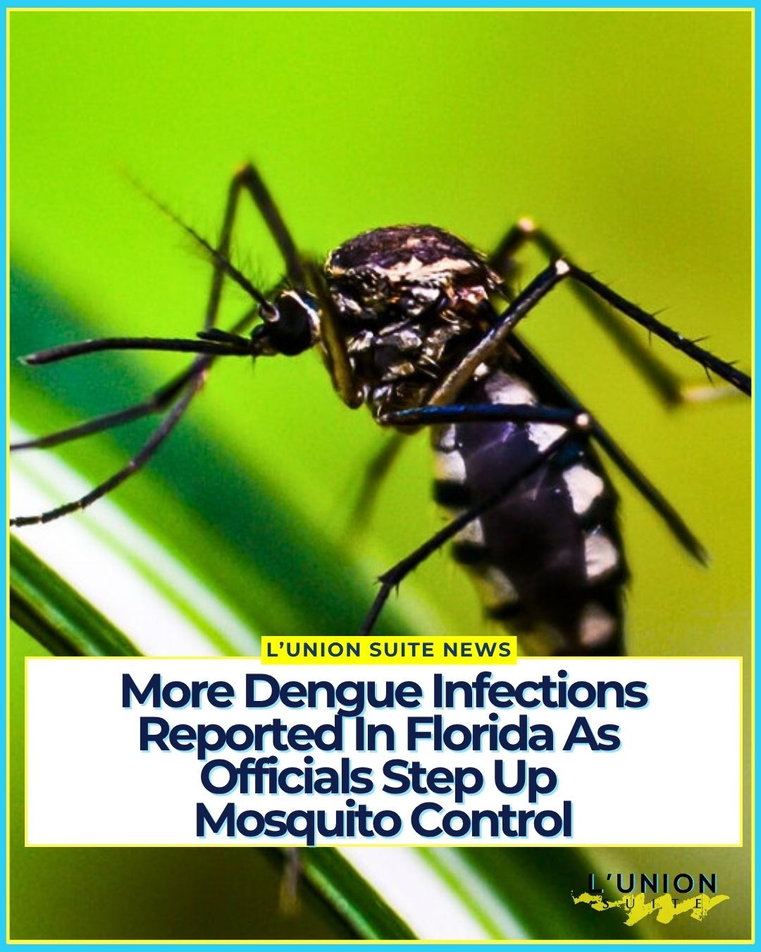 Florida health officials are warning residents to protect themselves from mosquitoes as locally acquired dengue cases continue to rise across the state, with the Tampa Bay area seeing the largest increase.
Hillsborough County has become the center of the outbreak. According to the latest figures reported by the Florida Department of Health, the county reached 95 locally acquired dengue cases for the week ending September 5, compared with 59 the week before. Cases have also been reported in other parts of Florida, including Pinellas, Orange and Miami-Dade counties.
“Locally acquired” means the person was infected by a mosquito in Florida rather than while traveling outside the country. Dengue is spread through the bite of an infected mosquito and can cause fever, severe muscle and joint pain, headaches and rash.
Mosquito-control teams are responding with increased surveillance, inspections and targeted spraying. Orange County, for example, expanded mosquito treatments after confirming a locally acquired dengue case earlier this month.
Health officials are asking residents to drain standing water around their homes, use mosquito repellent and cover exposed skin when possible.
#lunionsuite #haitianamerican