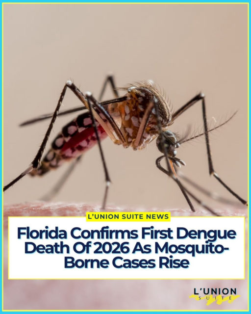 Florida health officials have confirmed the state’s first dengue-related death of 2026 as locally acquired infections continue to rise.⁠
⁠
The woman was identified by her family as Gay Small, a Tampa resident who died on September 4, her 80th birthday. Her death certificate listed dengue infection, septic shock and multiple-organ failure. The Florida Department of Health confirmed the dengue-related death on September 18 but did not publicly identify her. ⁠
⁠
The outbreak has been especially severe in Hillsborough County. Florida reported 152 locally acquired dengue cases through September 12, including 134 in Hillsborough County. “Locally acquired” means the infection was contracted in Florida rather than during travel abroad. ⁠
⁠
Dengue spreads through infected mosquitoes. Health officials are urging residents to use insect repellent, empty containers holding standing water and take precautions against mosquito bites. ⁠
⁠
#lunionsuite #haitianamerican⁠
⁠
